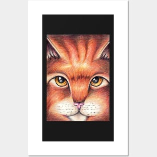 Orange and Brown Cat Posters and Art